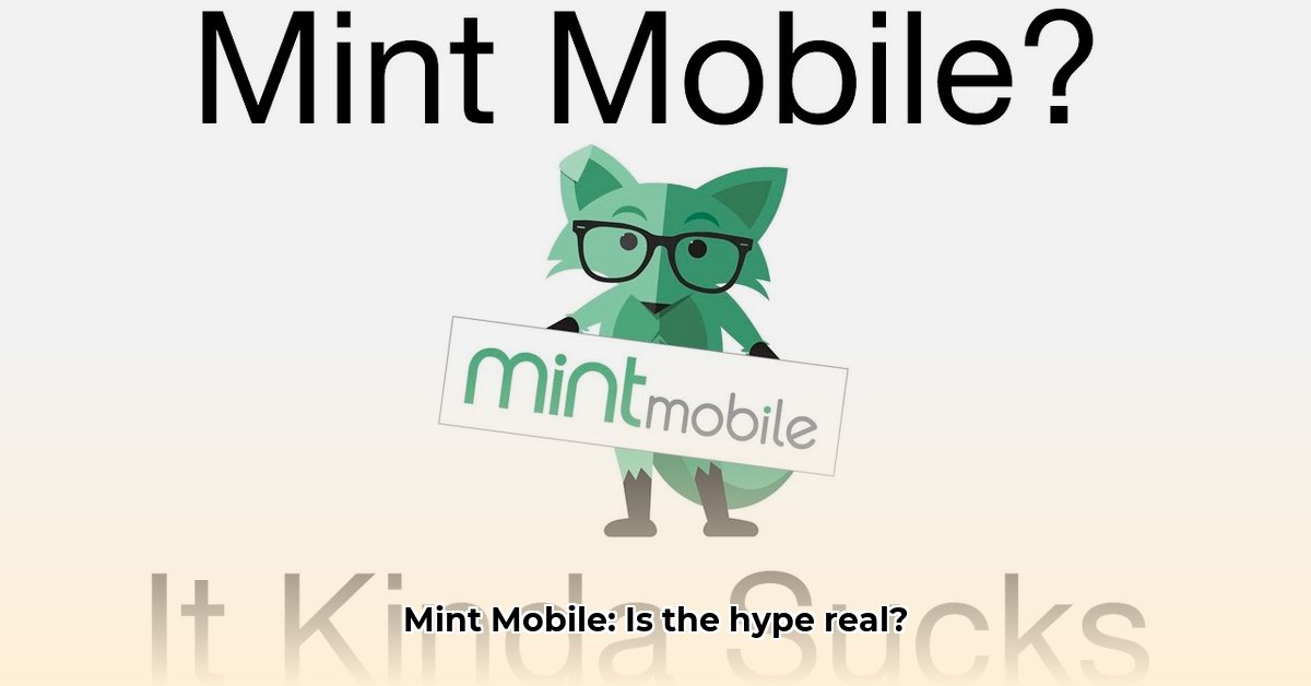 mint-mobile-sucks